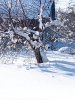 Земли с/х назначения в Тверской области