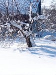 Земли с/х назначения в Тверской области
