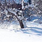 Земли с/х назначения в Тверской области