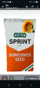 Семена подсолнечника СПРИНТ лот РАПИД