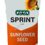 Семена подсолнечника СПРИНТ лот РАПИД