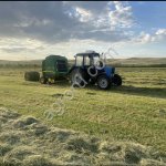 Сено разнотравье