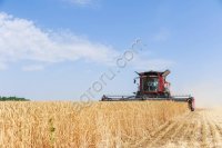 С/х предприятие в Волгоградской области