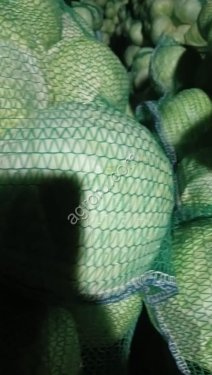 Капуста белокочанная опт