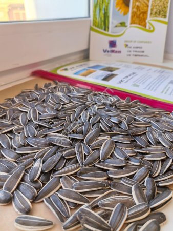 Семечки подсолнечника (полосатые)