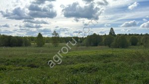 землю 5,9 га с/х, в 100 км от Москвы