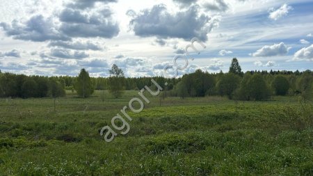 землю 5,9 га с/х, в 100 км от Москвы