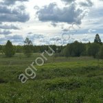 землю 5,9 га с/х, в 100 км от Москвы