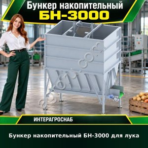 Бункер накопительный БН-3000 для лука