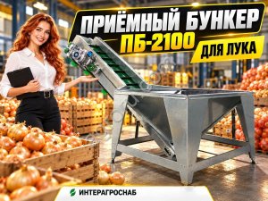 Приёмный бункер ПБ-2100 для лука