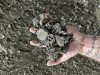 ПОДСОЛНЕЧНЫЙ ЖМЫХ-ПРОТЕИН 36% И ВЫШЕ