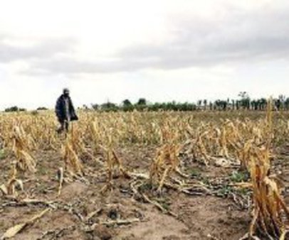 Засуха стоила фермерам 33 млрд рублей, подсчитал Минсельхоз