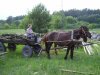 За фермеров берется «Единая Россия»