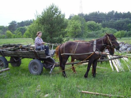 За фермеров берется «Единая Россия»