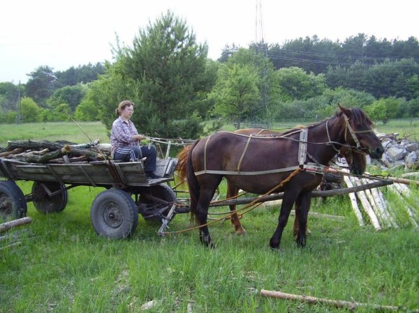 За фермеров берется «Единая Россия»