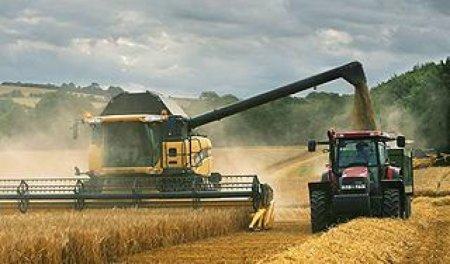 Казахстан теряет рынки сбыта зерна, - О.Шишанова