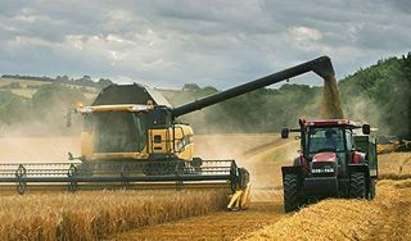 Казахстан теряет рынки сбыта зерна, - О.Шишанова