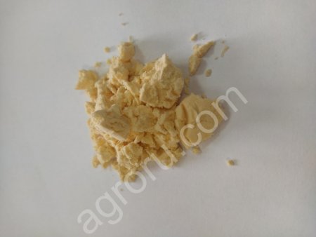 Сухой яичный меланж ГОСТ