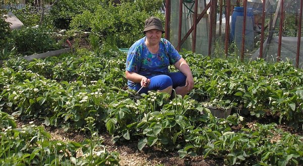 Оформление пользования землей: сроки продлили