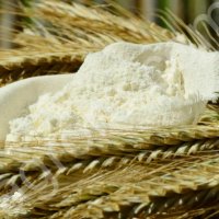 Мука от производителя