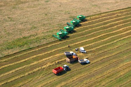 В Башкирии намолочена первая тонна зерна нового урожая