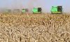 Валовой сбор зерновых в Китае за 2011 г. достигнет 550 млн тонн
