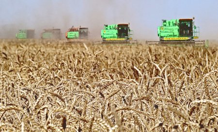 Валовой сбор зерновых в Китае за 2011 г. достигнет 550 млн тонн