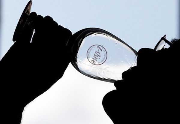 Дегустация украинских вин