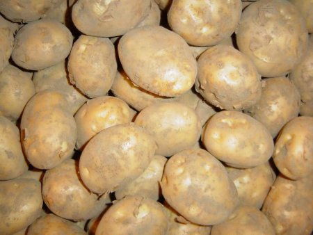 Картофель в Минске подорожал в пять раз