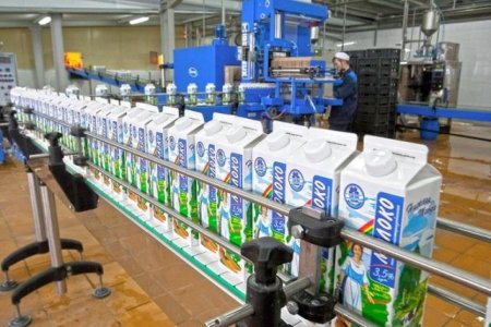 Краткий обзор рынка молока