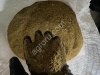 Комбикорма