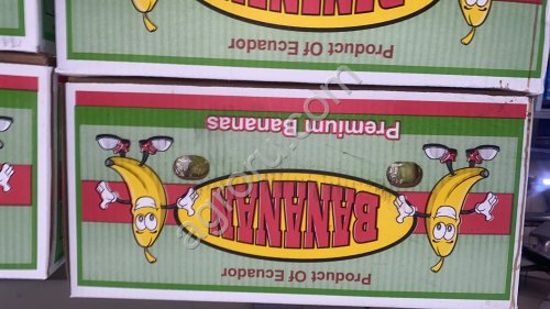 Бананы