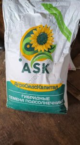 Семена подсолнечника для посева Гелиос 25 аналог пионера