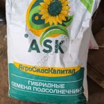 Семена подсолнечника для посева Гелиос 25 аналог пионера