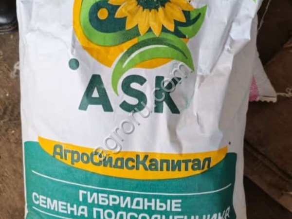 Семена подсолнечника для посева Гелиос 25 аналог пионера