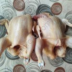 Домашнее мясо бройлера