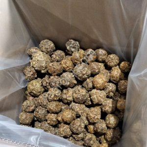 Прополис очищенный