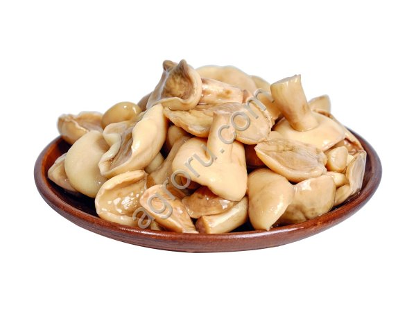 маслята резаные соленые