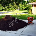 Земля плодородная