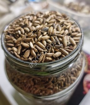 Расторопша