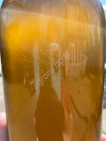 Масло рапсовое