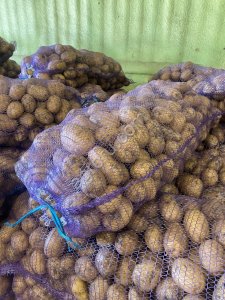 Молодой картофель от производителя 1 сорта