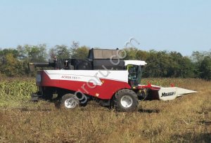 Уборка урожая подсолнечника