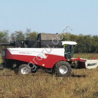 Уборка урожая подсолнечника