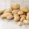 Семенной картофель