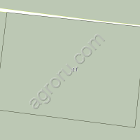 Земельный участок, земли с/х назначения, для с/х производства,