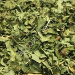 лист смородины