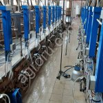 Доильный зал