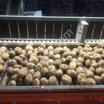 Ривьера продовольственный