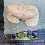 Ягнятина курдюк